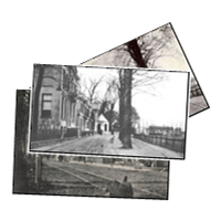 Images from Beverwijk
