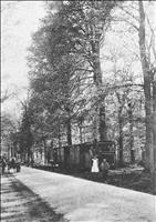 thumbnail of Heilooer Bos